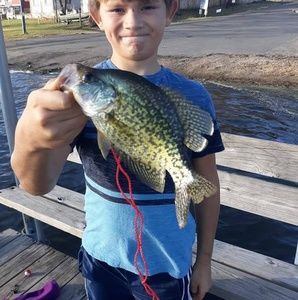 Meet your Posher, Joan